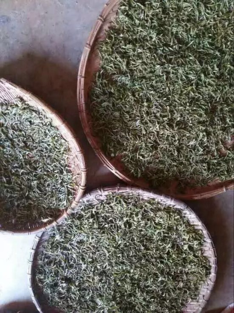 普洱绿茶