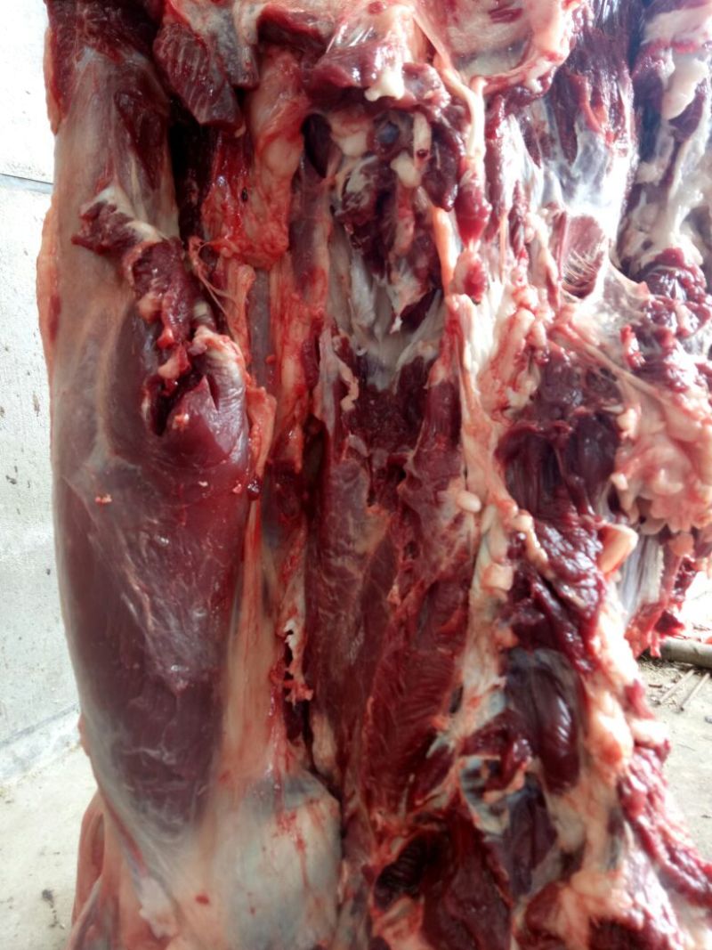 驴肉鲜货