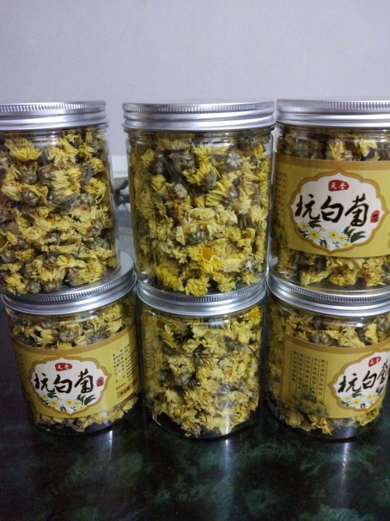 杭州白菊罐装