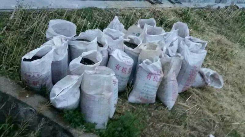 菜油一级
