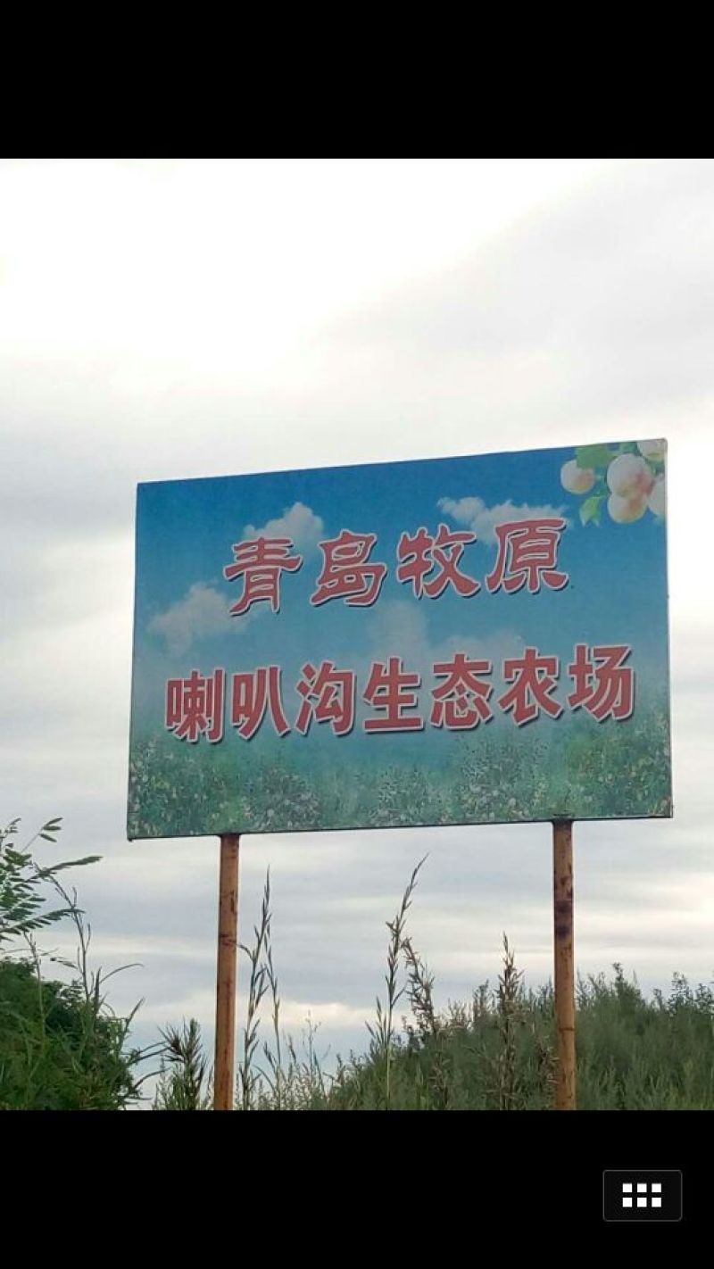 嘎啦苹果纸+膜袋