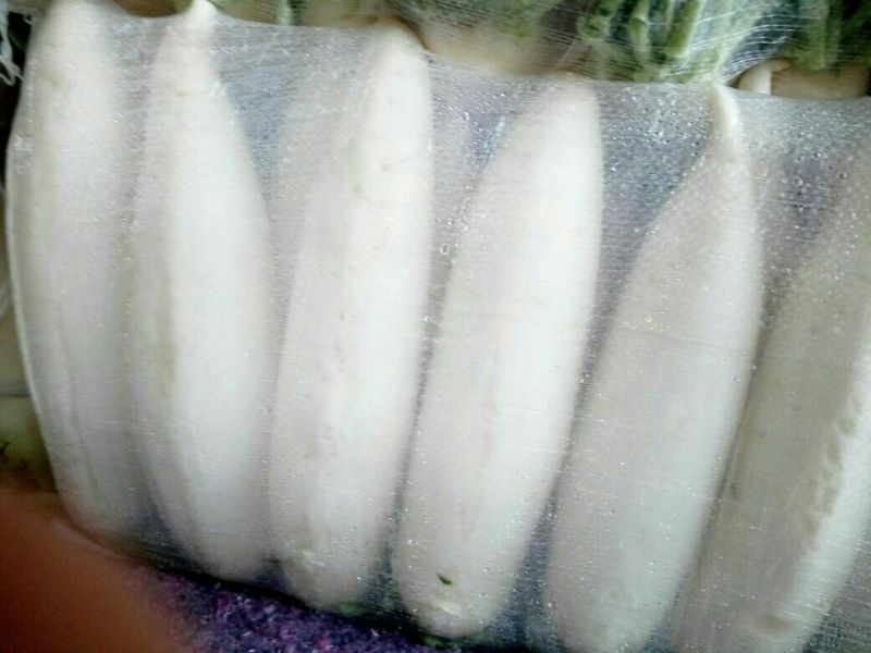 白萝卜1.5~2斤起