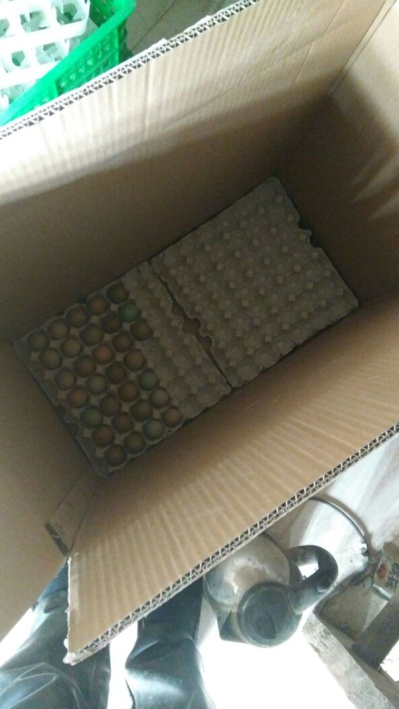 野鸡蛋