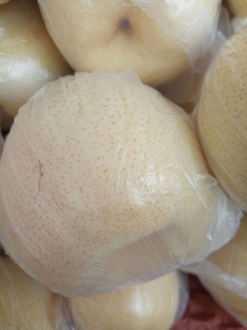 酥梨200~250g纸加膜