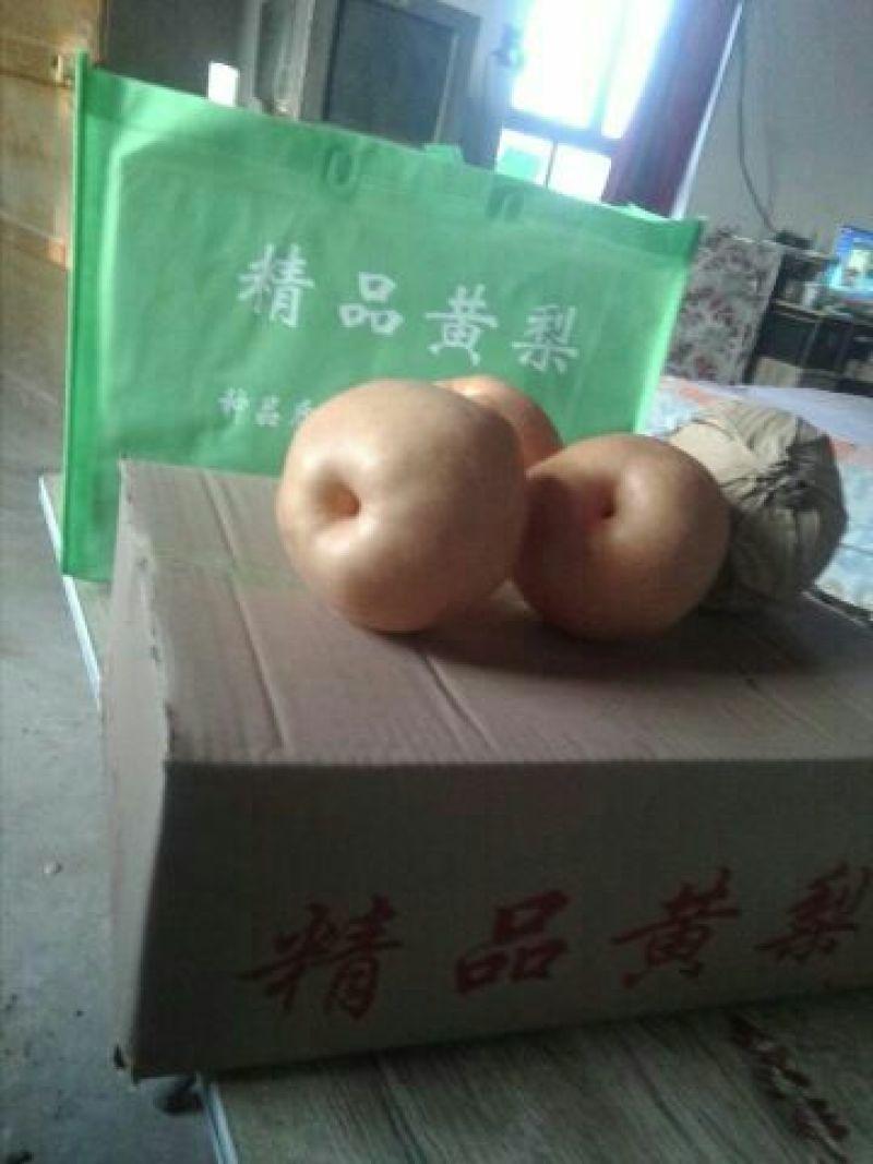 晚秋黄梨600g以上纸箱