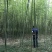 竹子4~5m