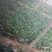 越冬菠菜15~20厘米