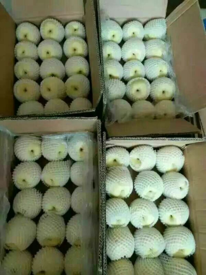 贡梨150~200g纸袋