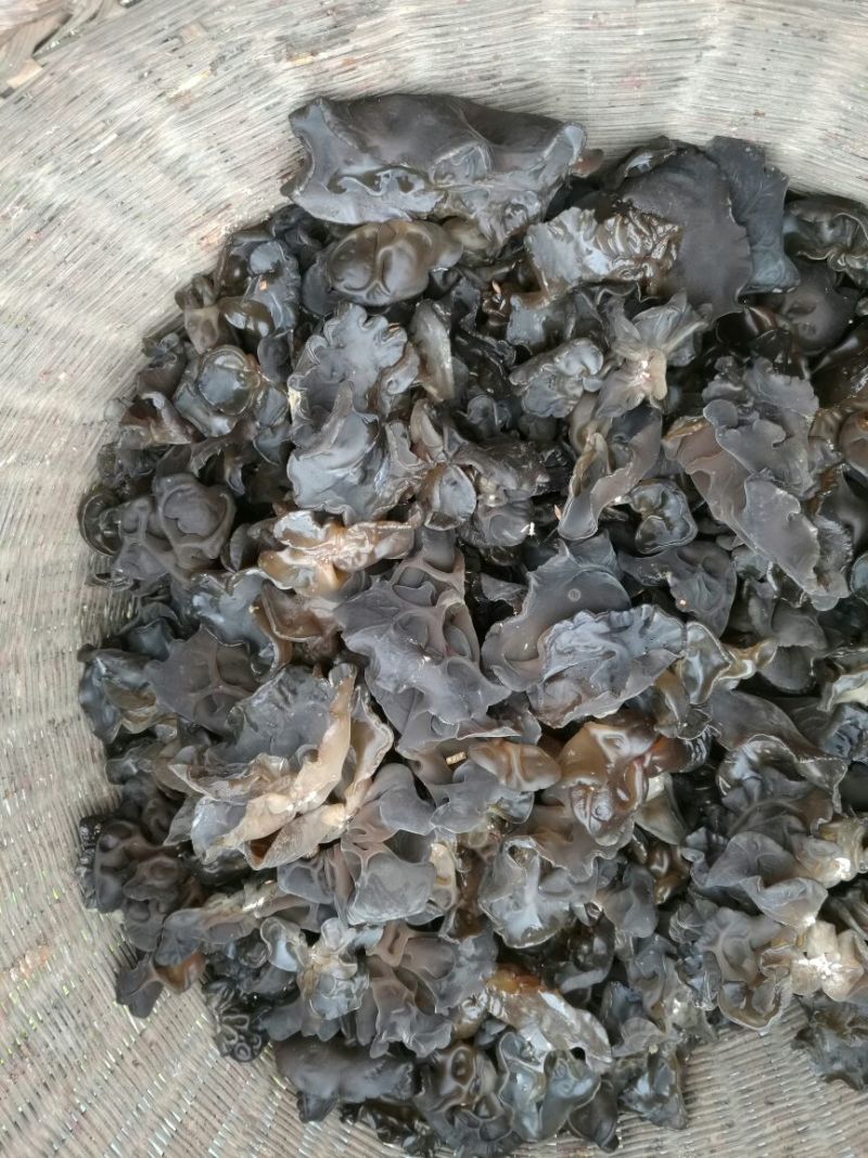 干木耳特级