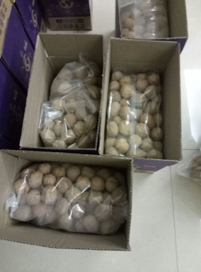 纸皮核桃去皮干