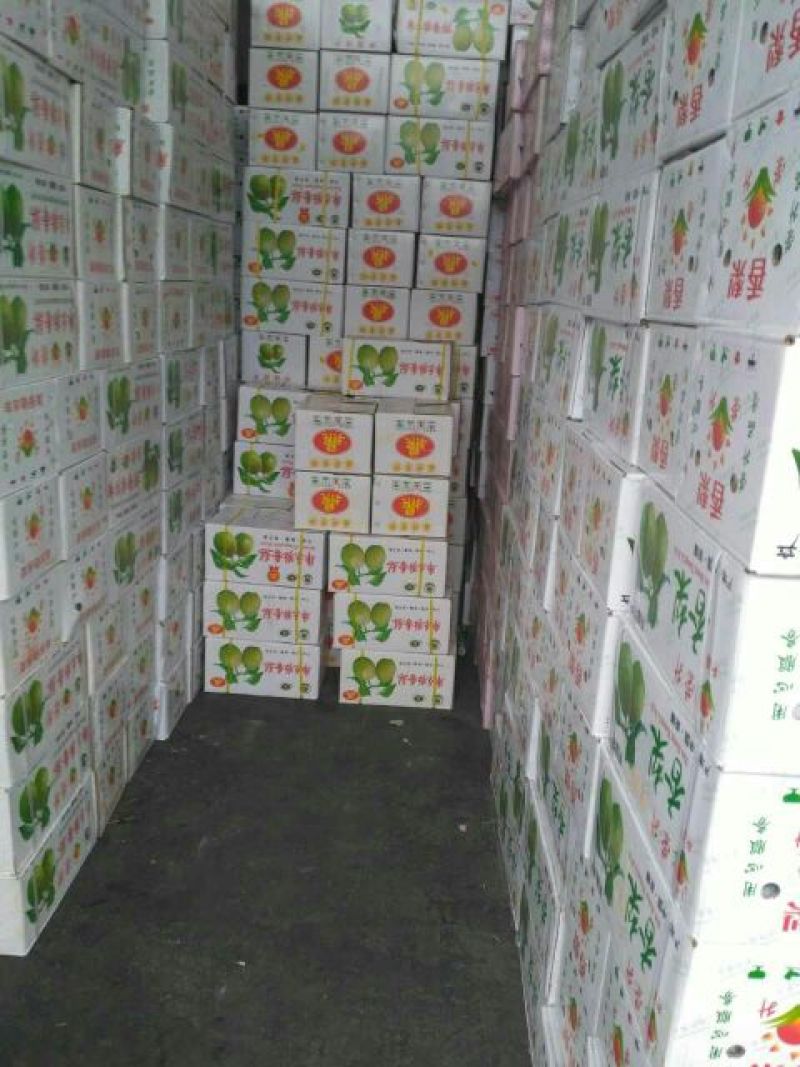 梨100~150g纸箱