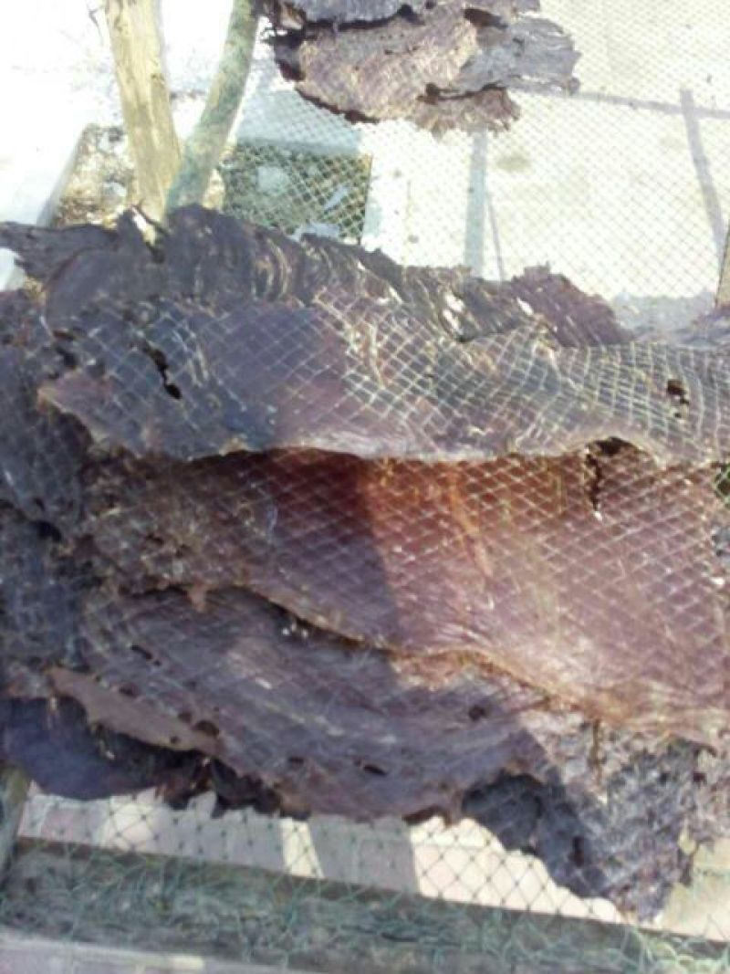 牛肉干鲜肉黄牛肉