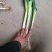 大葱30~40cm毛葱2cm左右