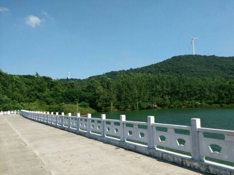 藤茶一级