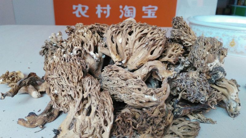 珊瑚菌鹿茸菇野生菌干货
