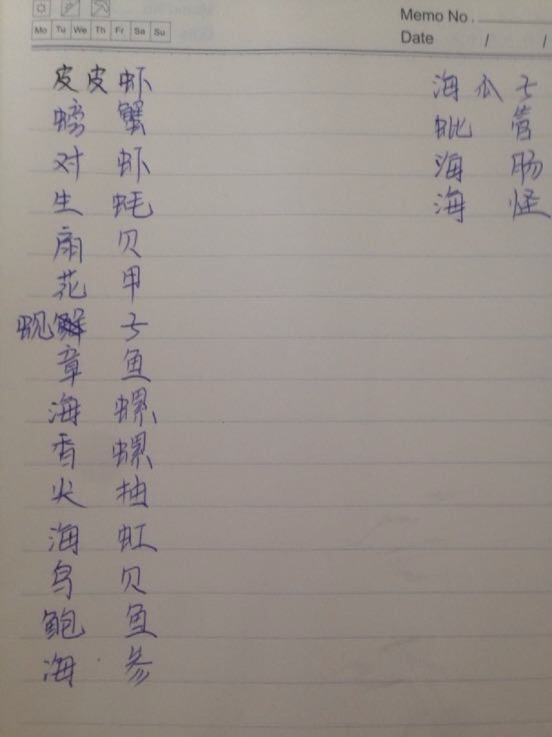 海湾扇贝