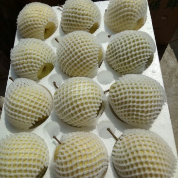 酥梨350~400g纸袋
