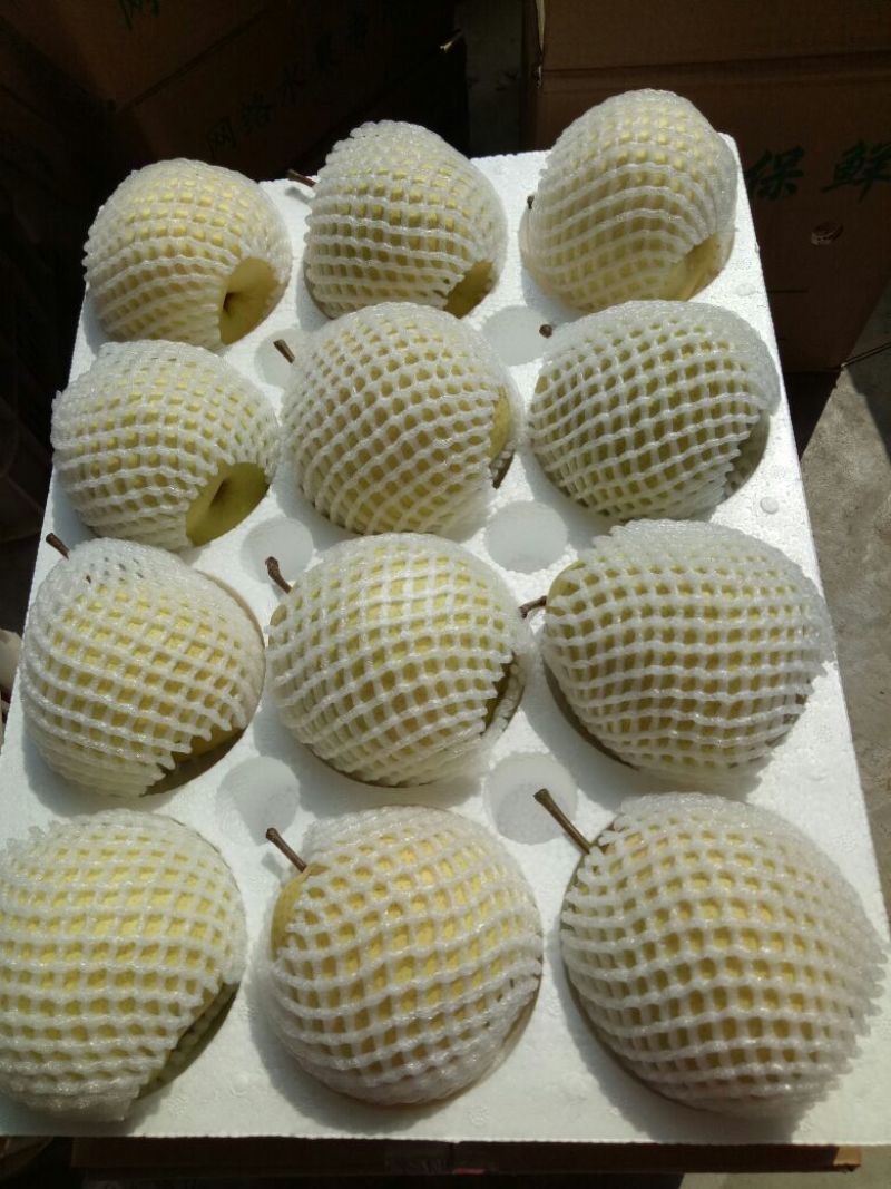 酥梨350~400g纸袋