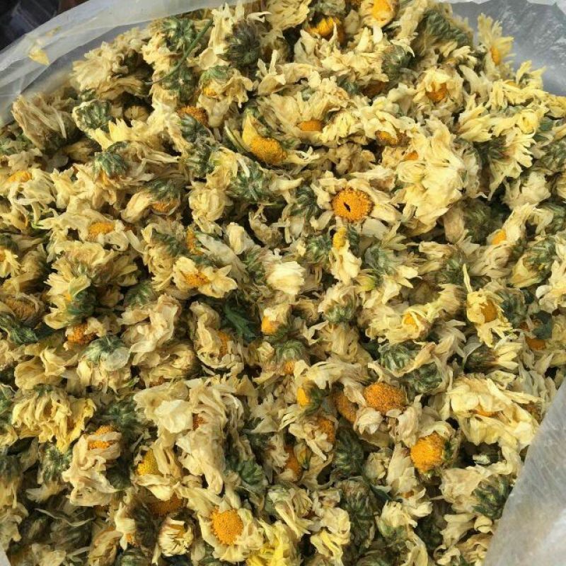 杭州白菊散装