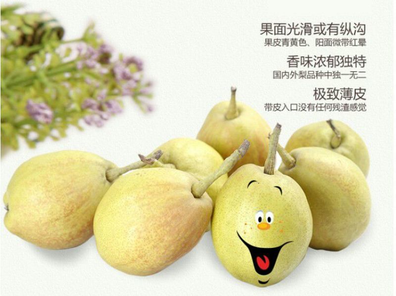 库尔勒香梨