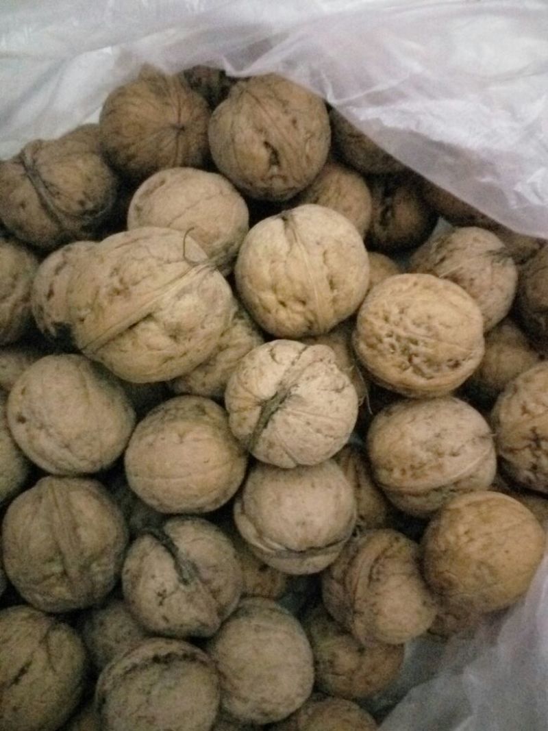 薄皮核桃去皮