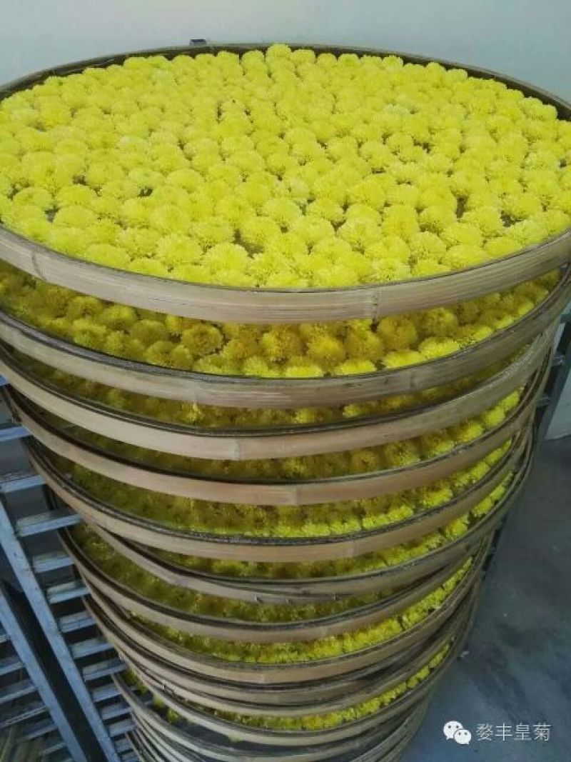 皇菊茶四级