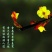 迎春花1~1.5米