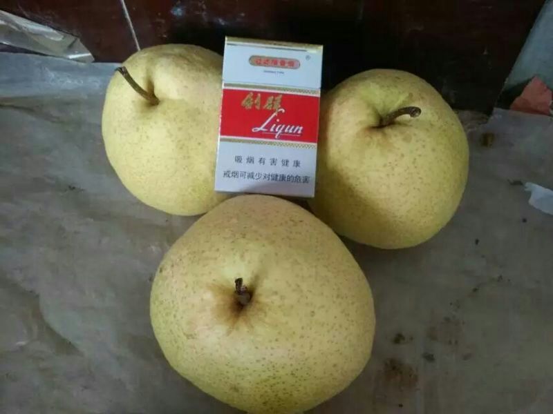 贡梨200~250g纸袋