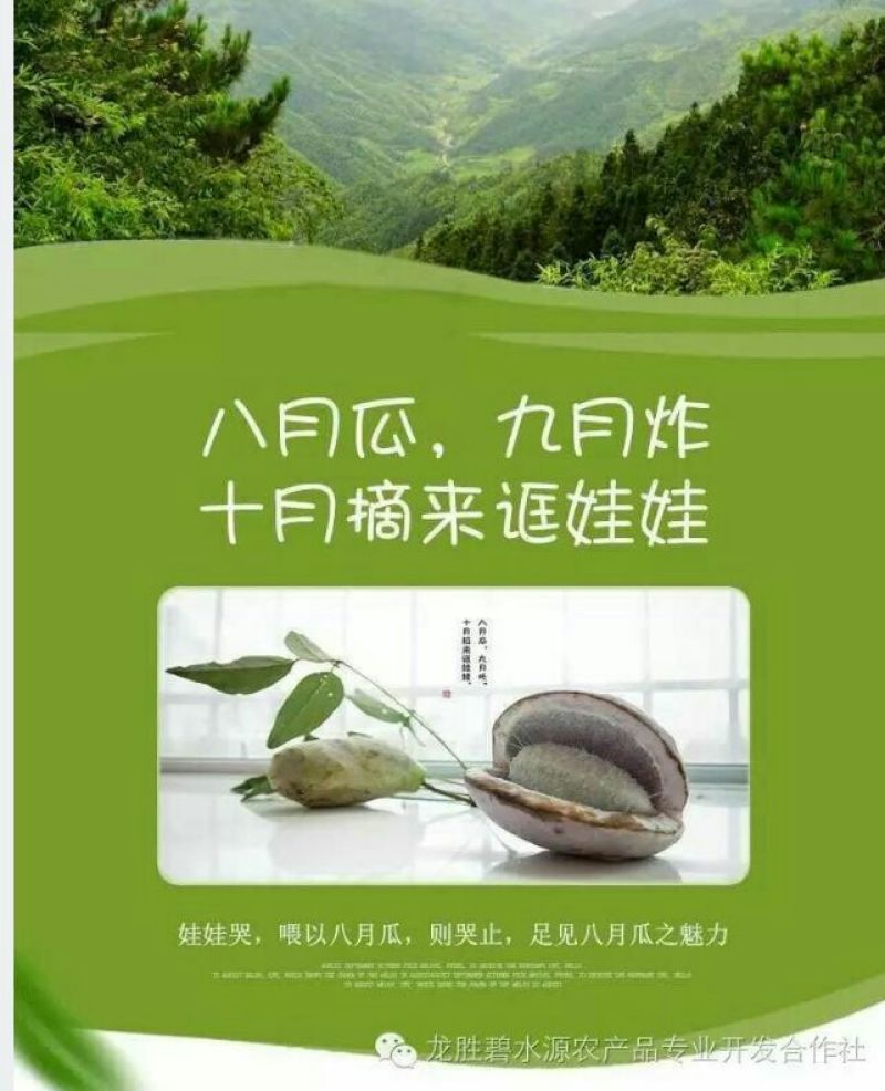 八月瓜130~140g
