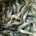 河虾冰鲜虾26~30只/kg