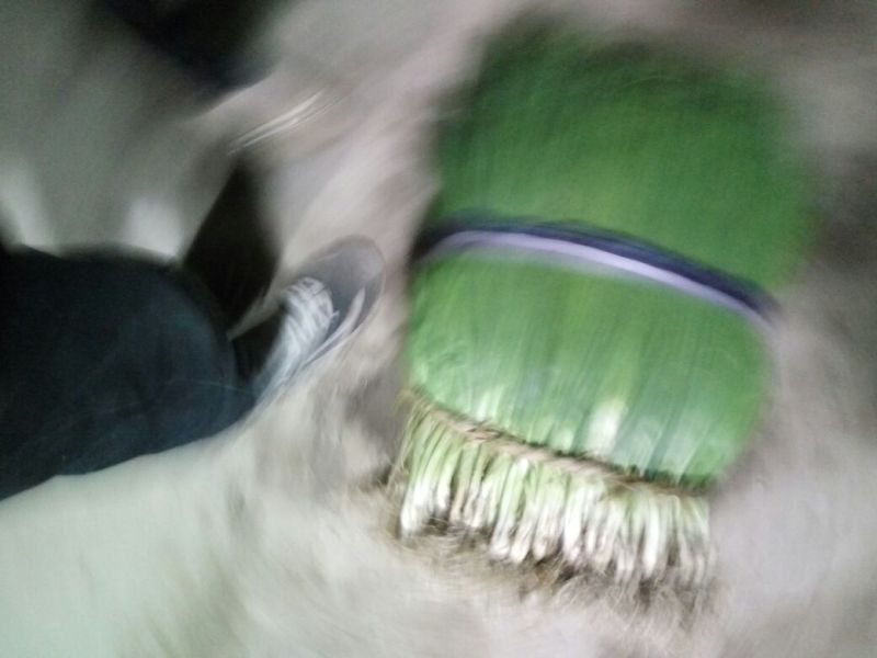 香葱小葱