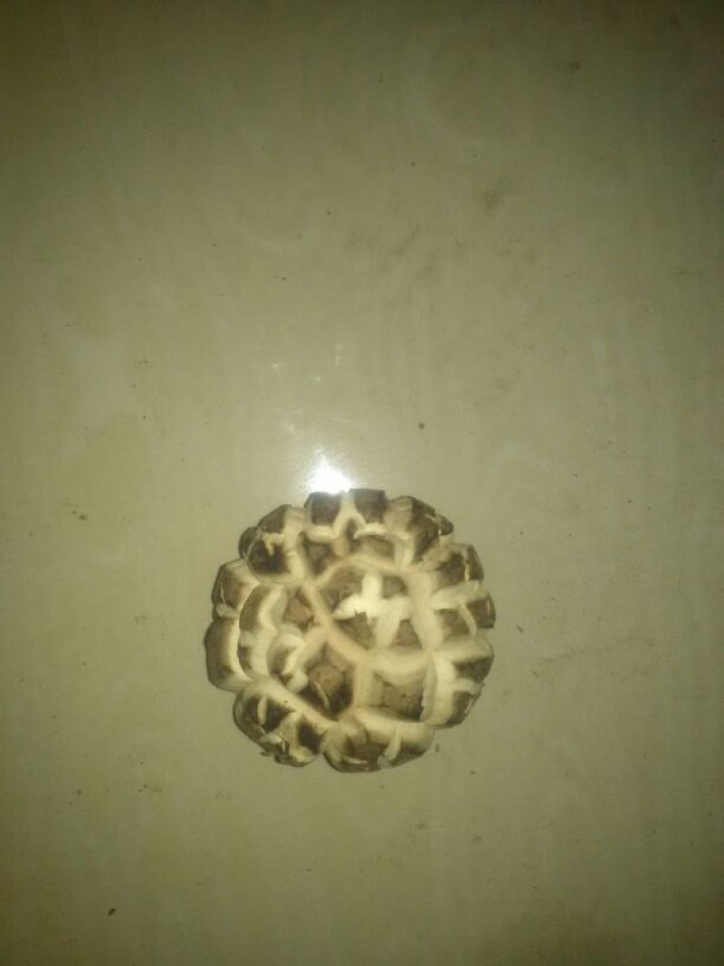 干香菇2.5~3cm