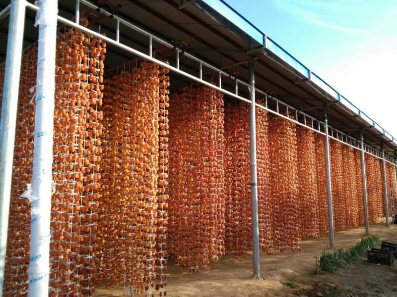 柿饼1~2两