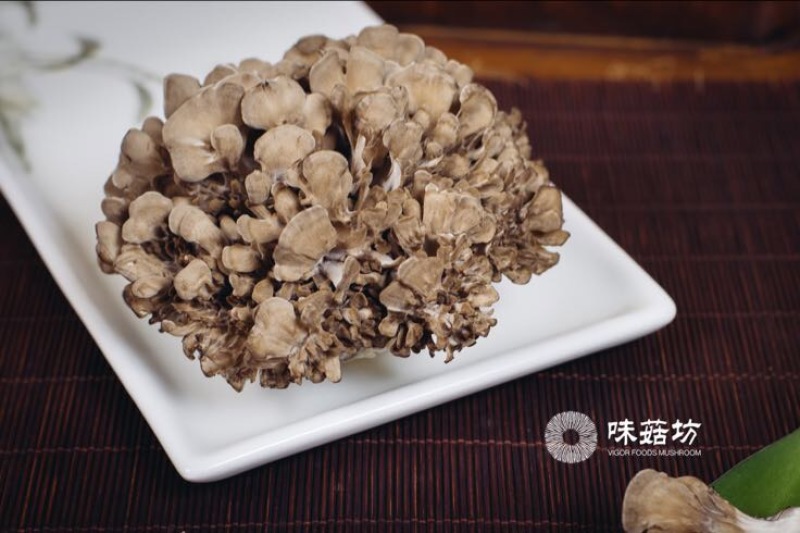 灰树花