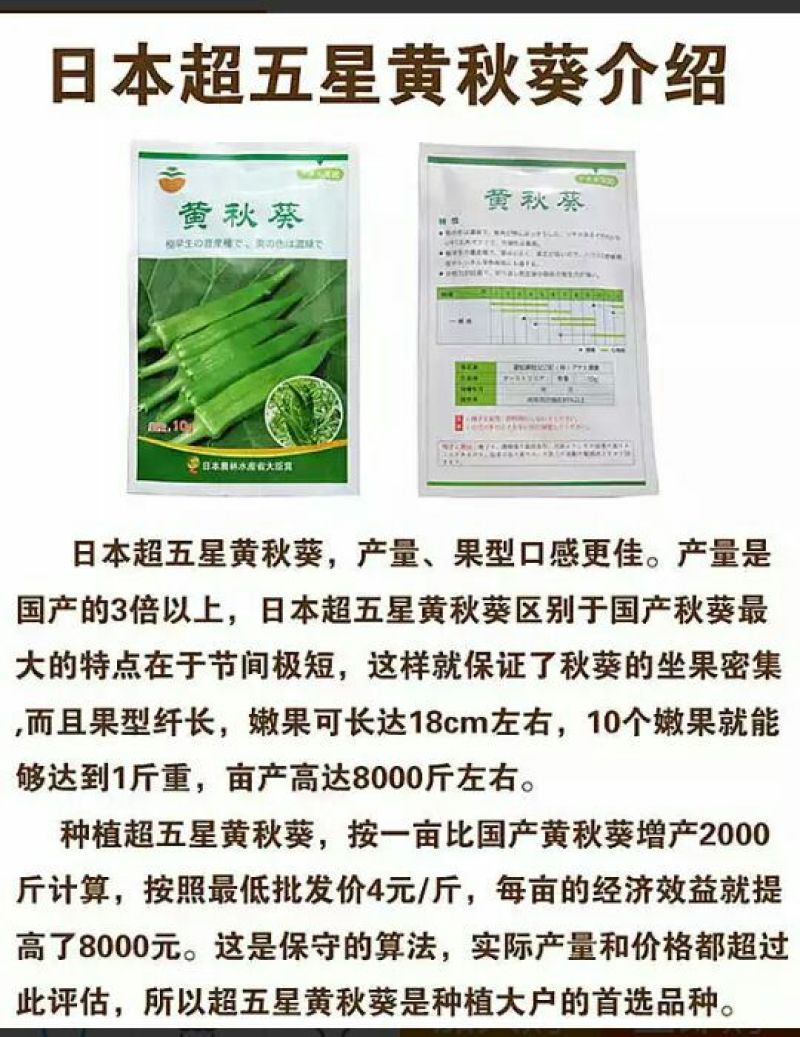 黄秋葵油