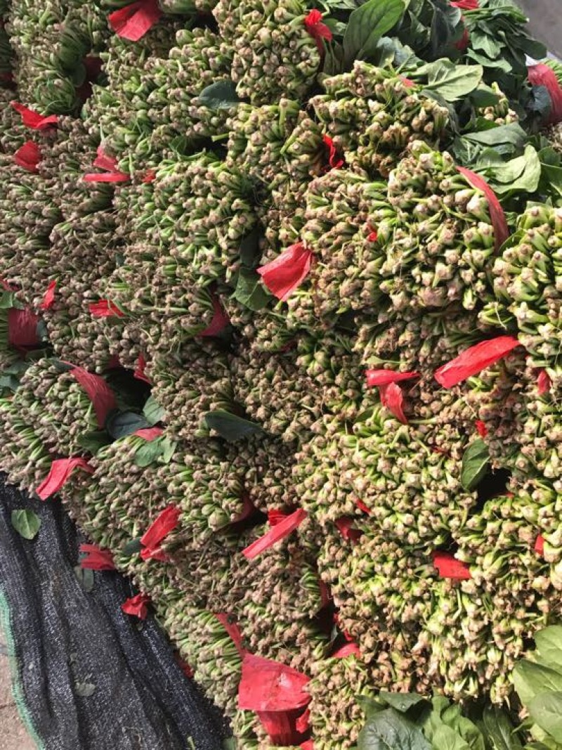 菠菜