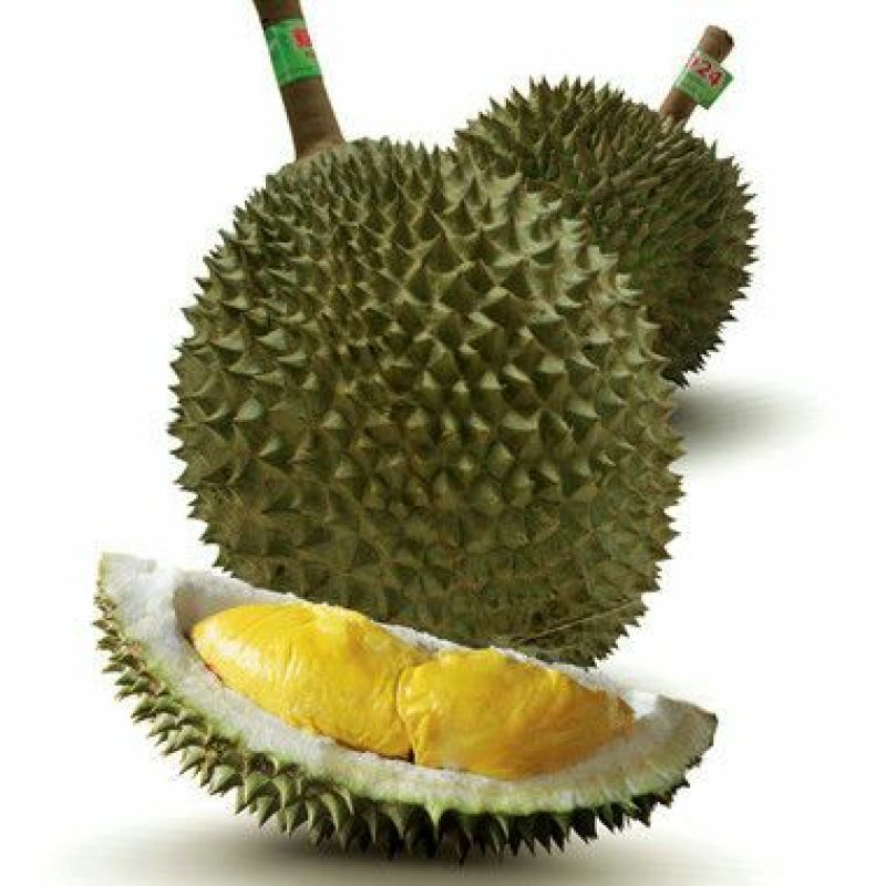榴莲5~8斤