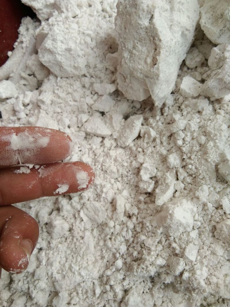 红薯粉面颗粒