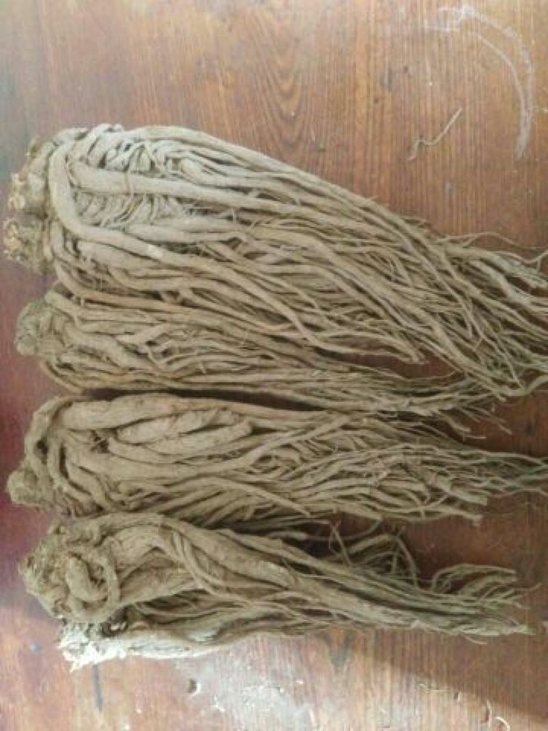 24小时在线服务直供一手货源保证正品当归