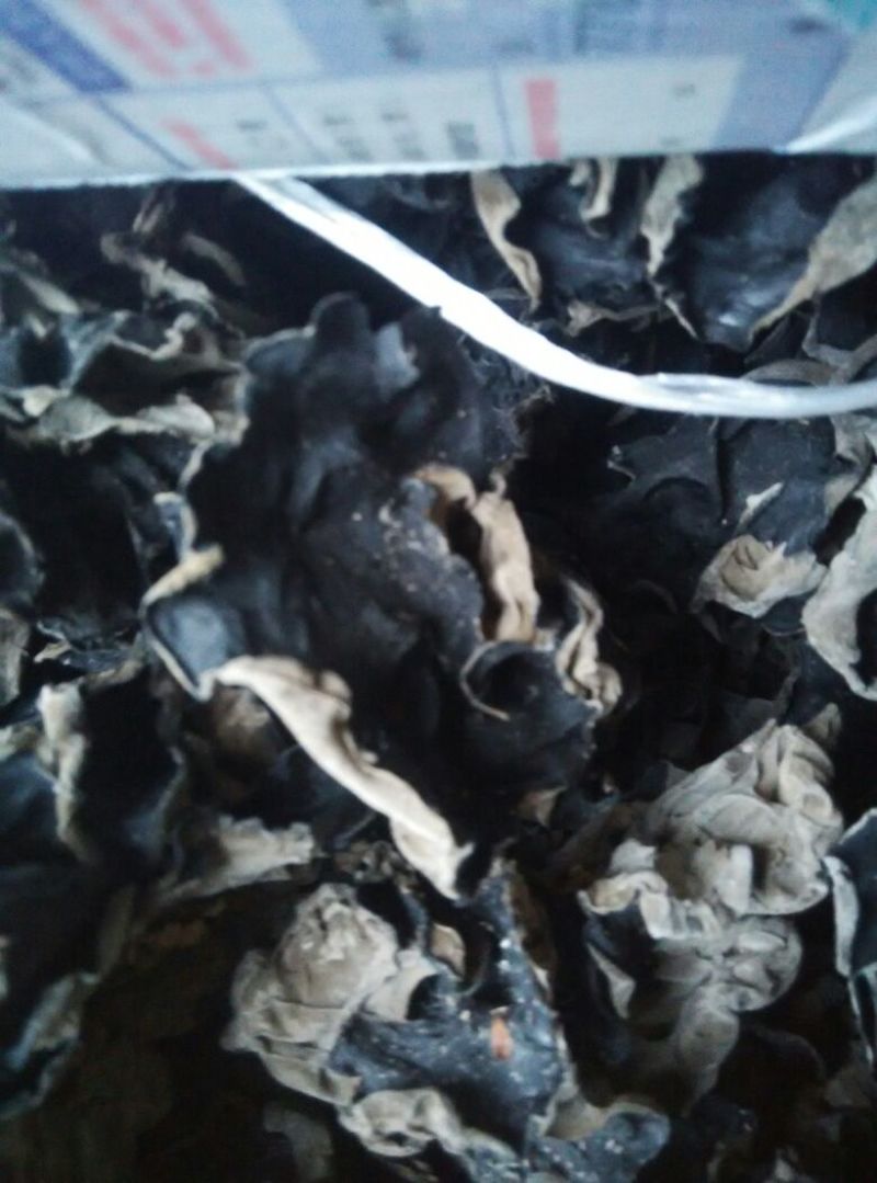 干木耳一级