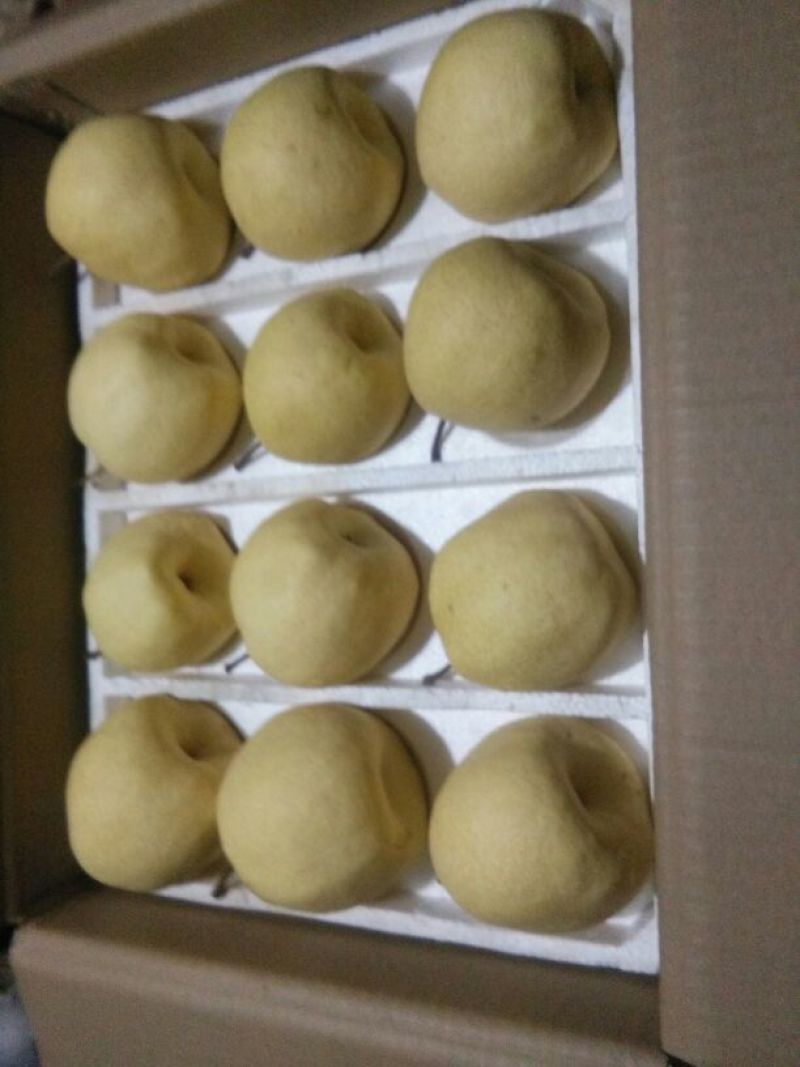 贡梨450~500g纸袋