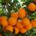 脐橙橙子柑橘诚信代办各种蔬菜水果欢迎咨询订购