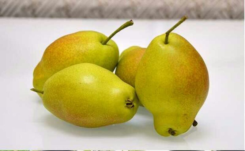 黄香酥梨纸加膜200~250g