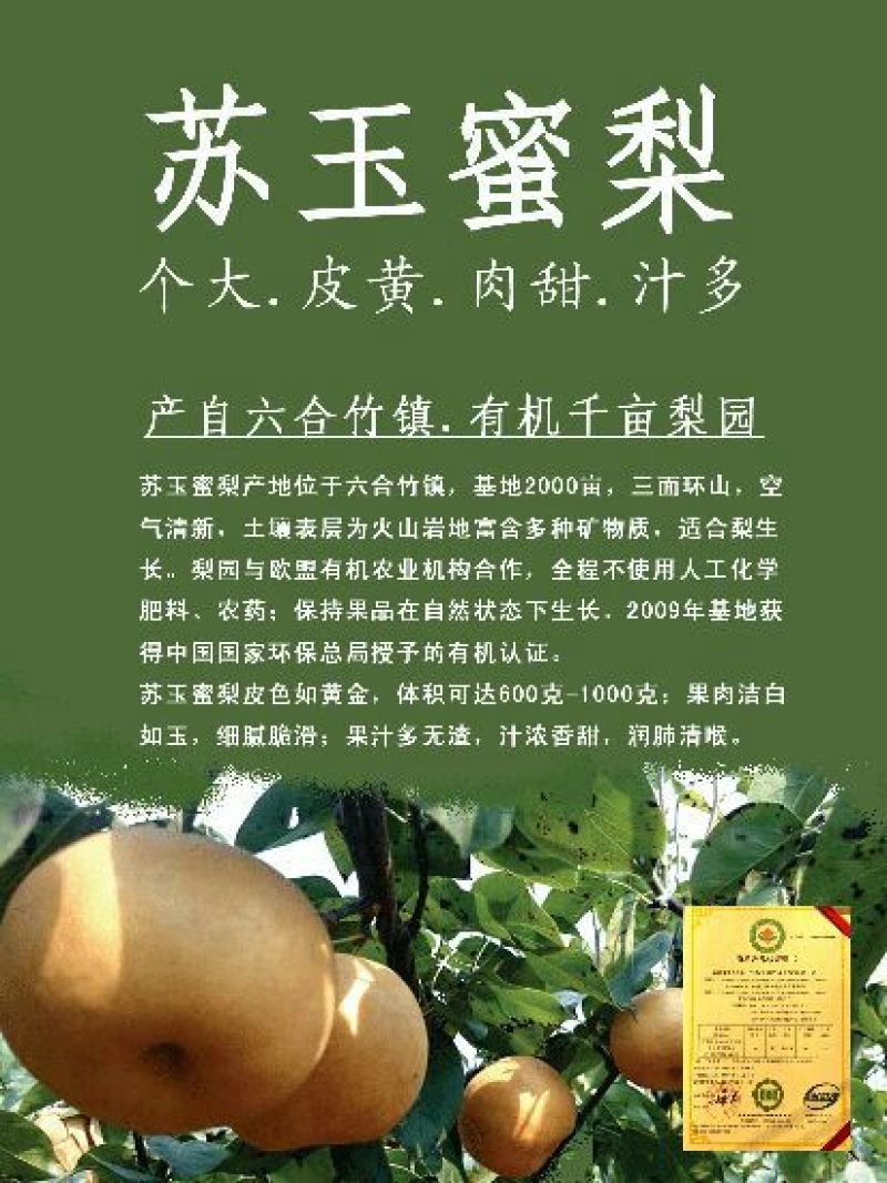 蜜梨300~350g光果