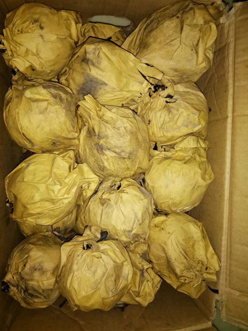 晚秋黄梨60~100g纸箱