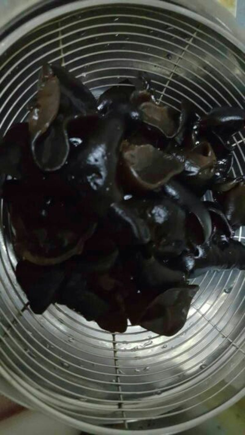 干木耳一级