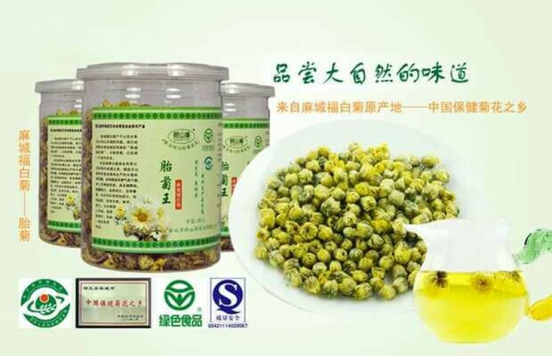 白菊花茶胎菊
