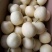 皇冠梨250~300g纸箱