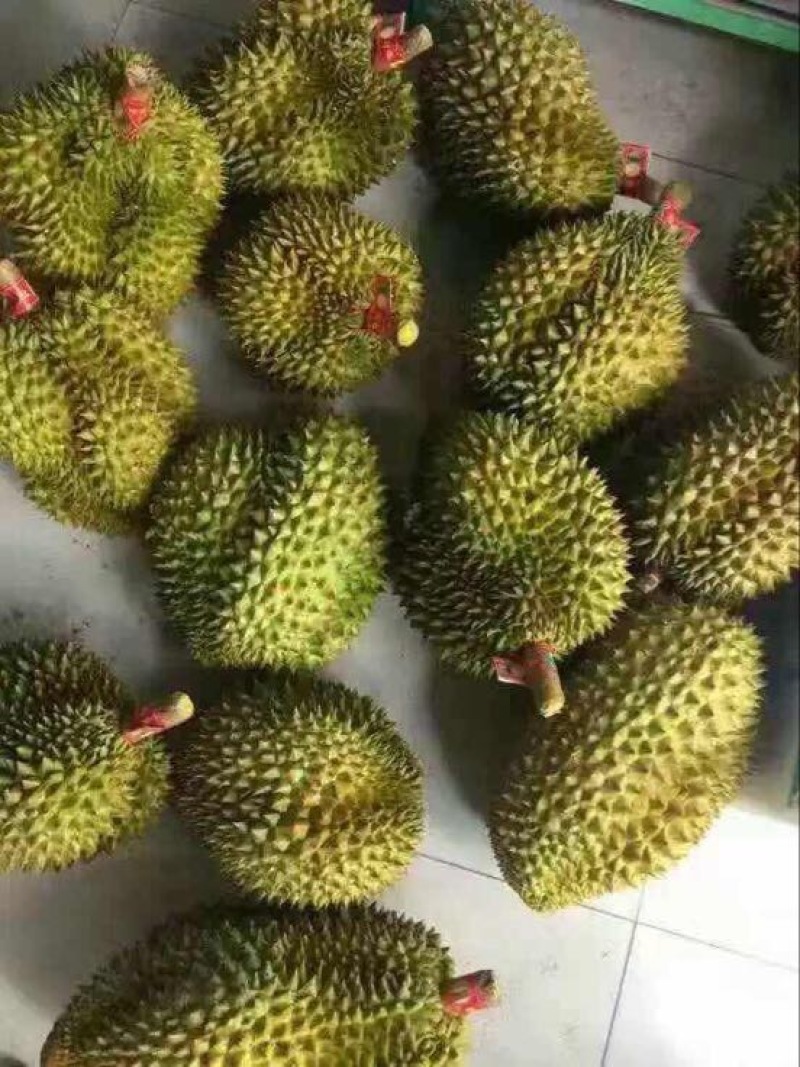榴莲