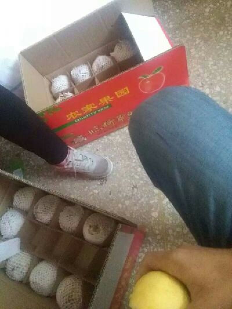贡梨200~250g纸箱